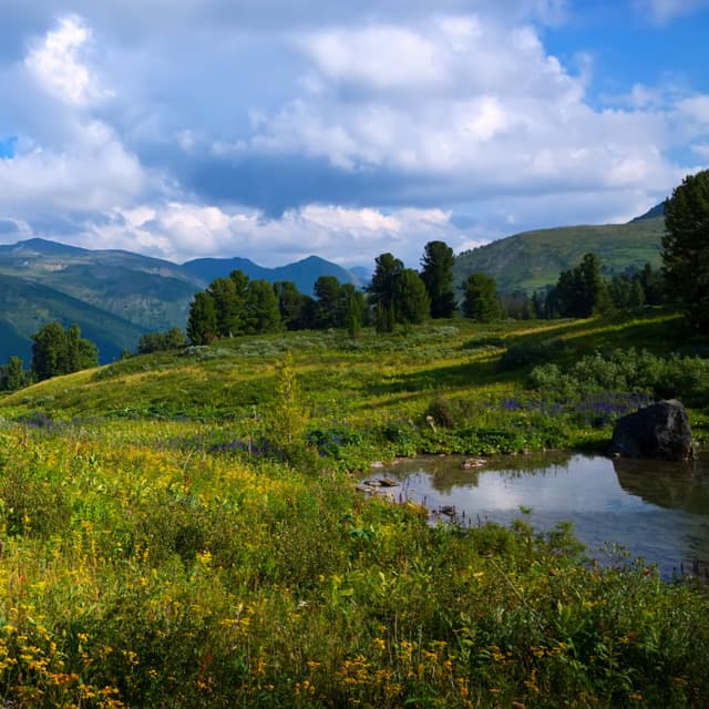 Dezvoltare durabilă a zonelor montane