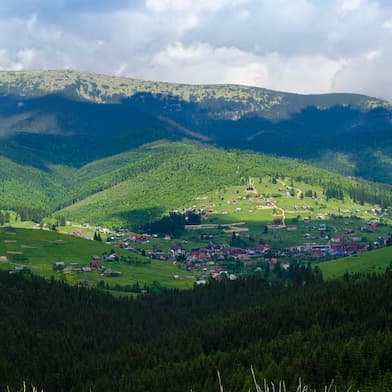 Cooperare, incluziune și sprijin comunitar
