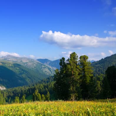 Mediu și adaptare la schimbări climatice