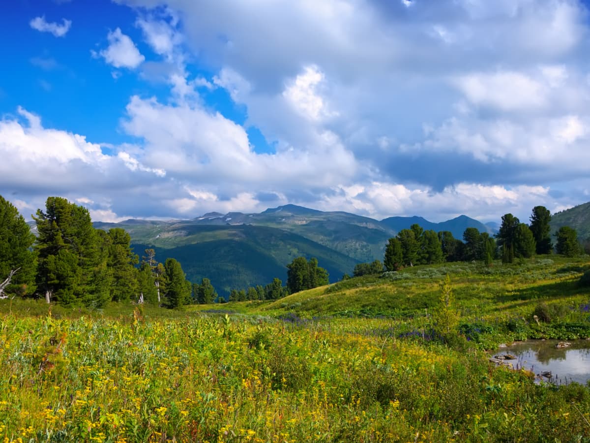 Dezvoltare durabilă a zonelor montane