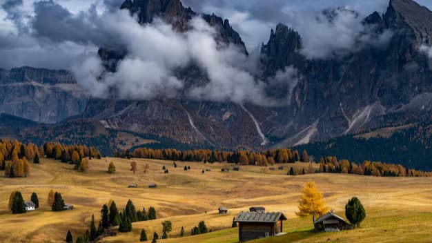 Ambasadorul munților României!