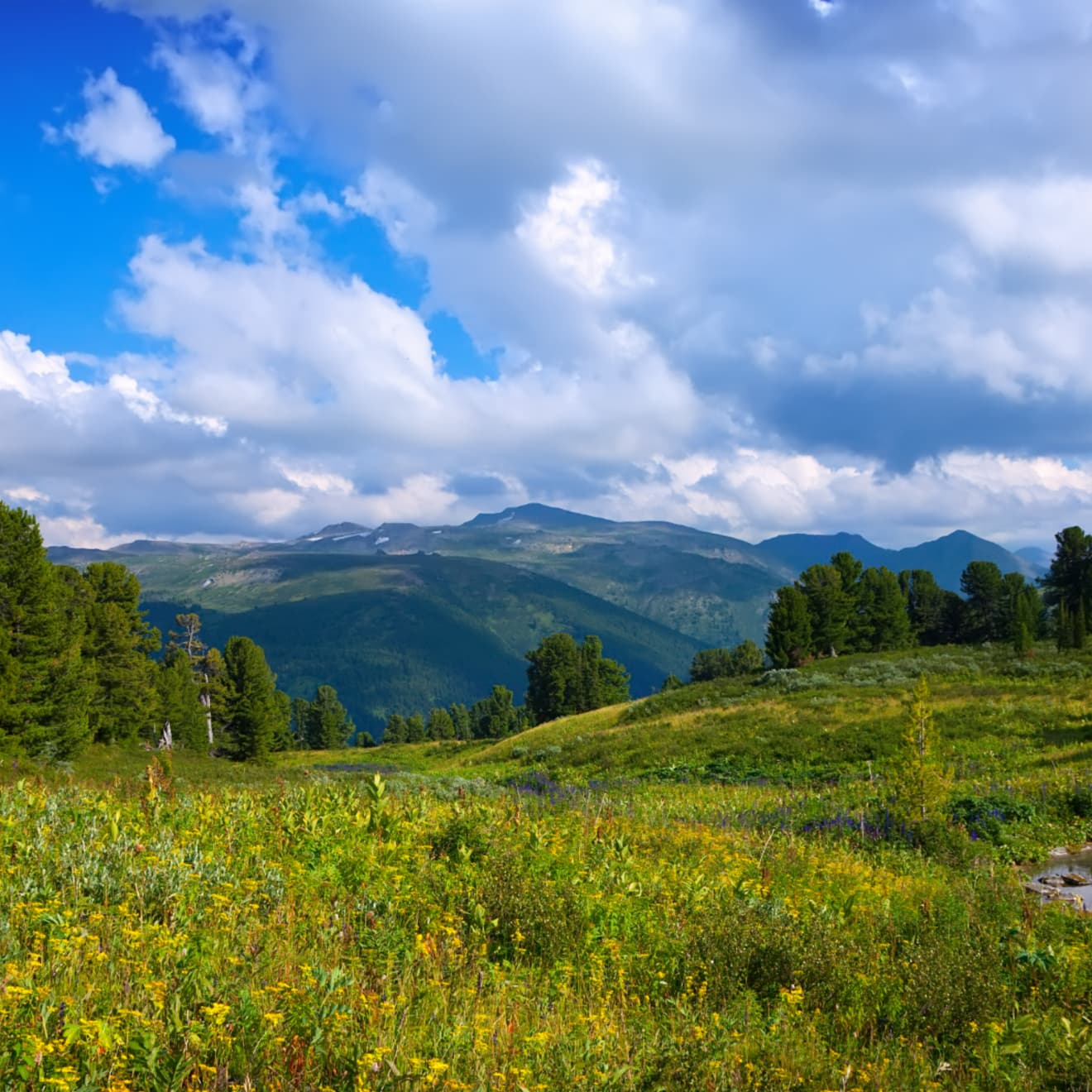 Proiectele RoMontana – Angajament pentru munte, comunități și viitor