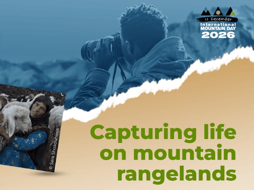 Viața în pășunile montane poate ajunge în prim-planul lumii: FAO lansează concursul internațional de fotografie pentru Ziua Internațională a Muntelui 2026 – 1