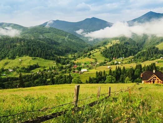 Politici publice și reprezentare