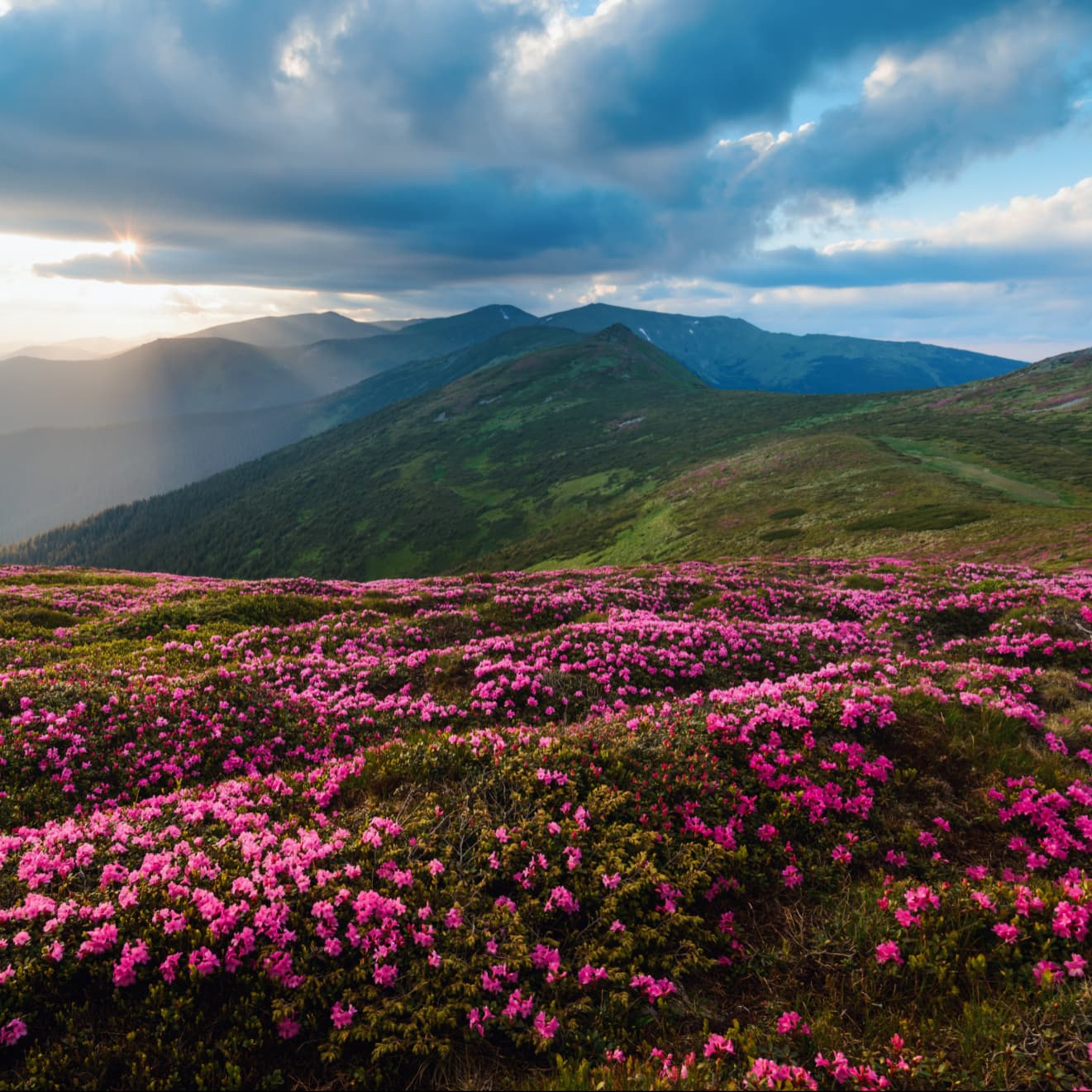 Evenimente și știri RoMontana: conectarea comunităților montane