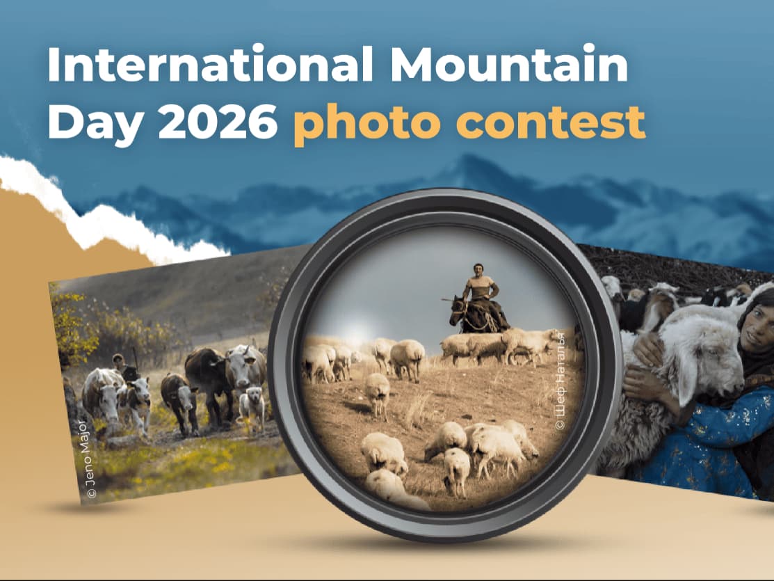 Viața în pășunile montane poate ajunge în prim-planul lumii: FAO lansează concursul internațional de fotografie pentru Ziua Internațională a Muntelui 2026
